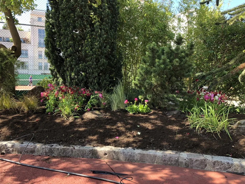 Plantation arbres terrasse Ouest parisien