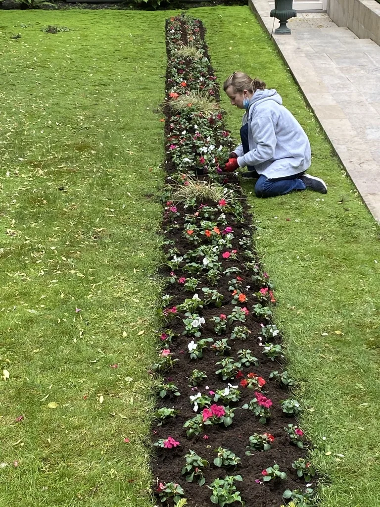 Plantation arbustes jardin