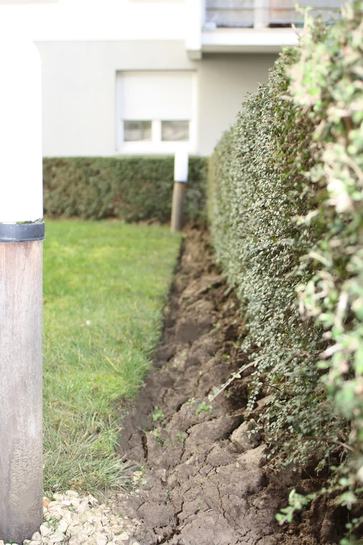 Jardinier professionnel au travail