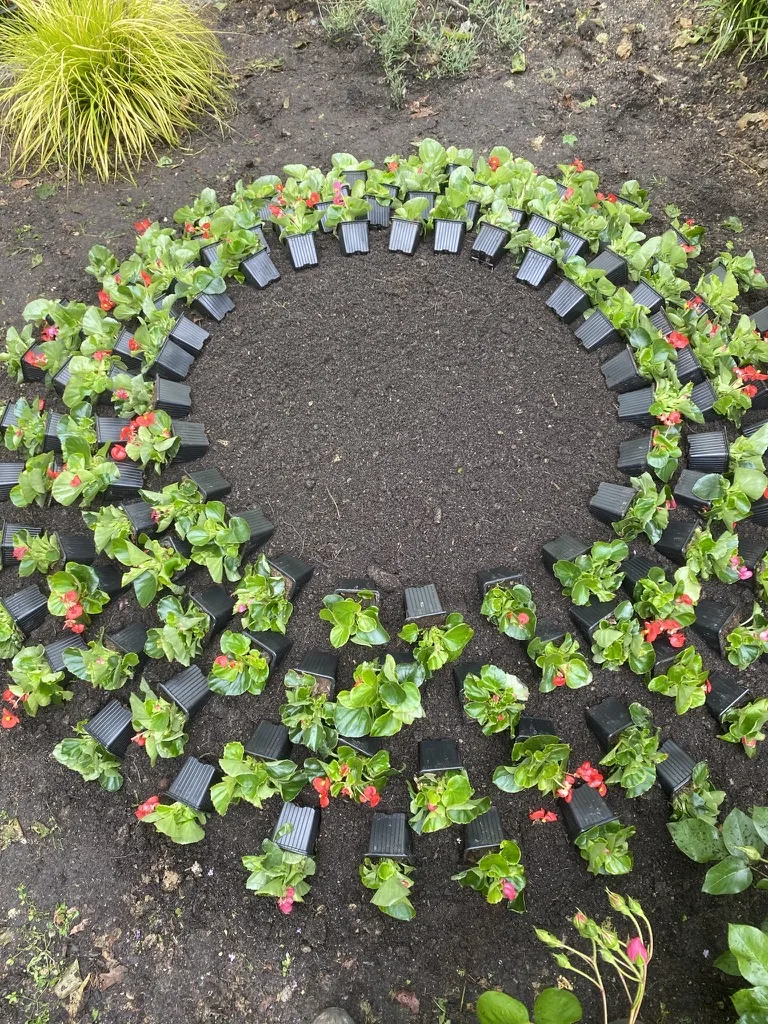 Végétaux sélectionnés et plantés