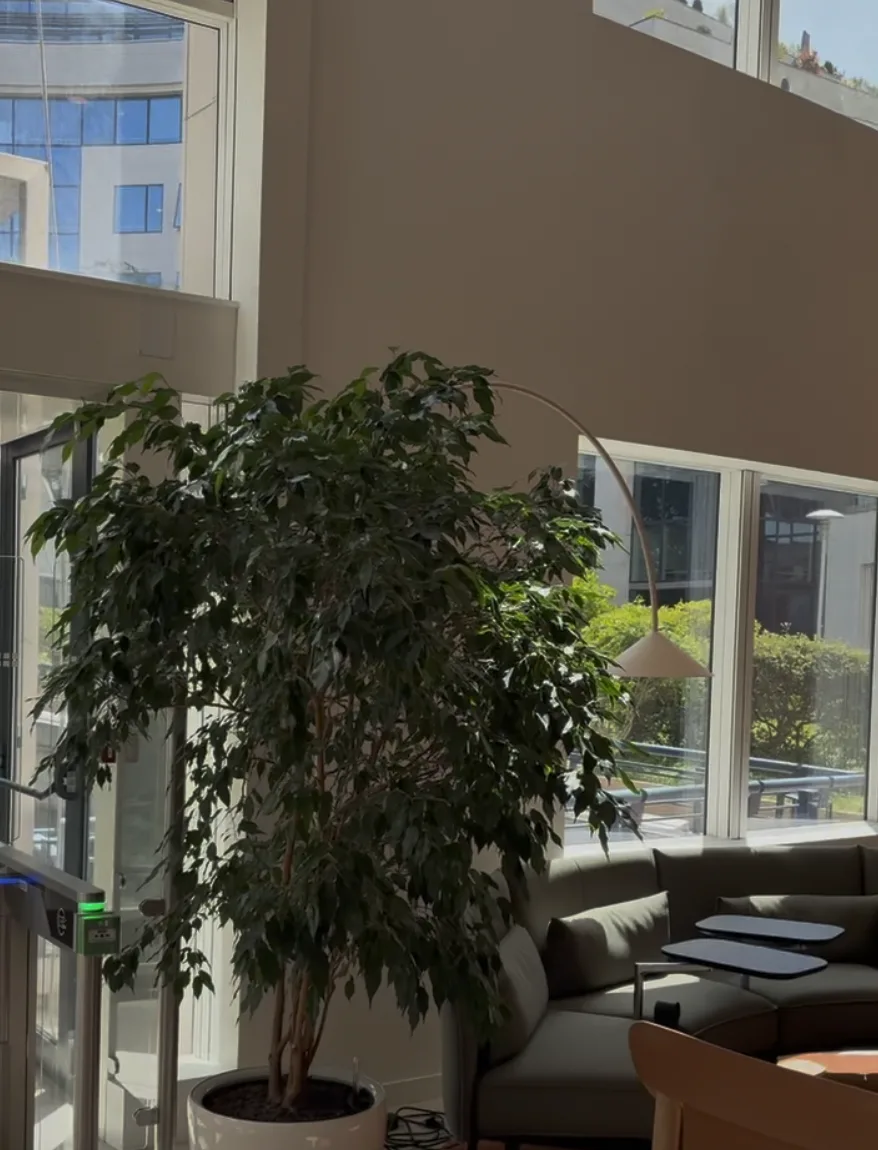 Espace intérieur végétalisé, jardin intérieur design