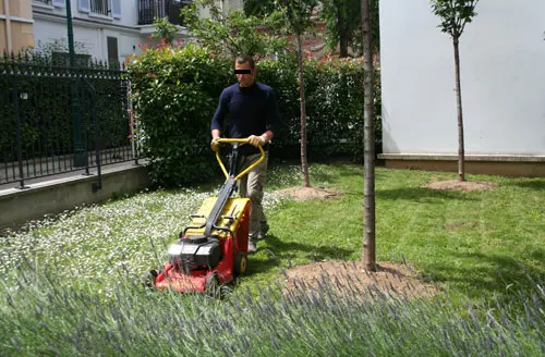 Entretien pelouse jardin urbain, Colombes