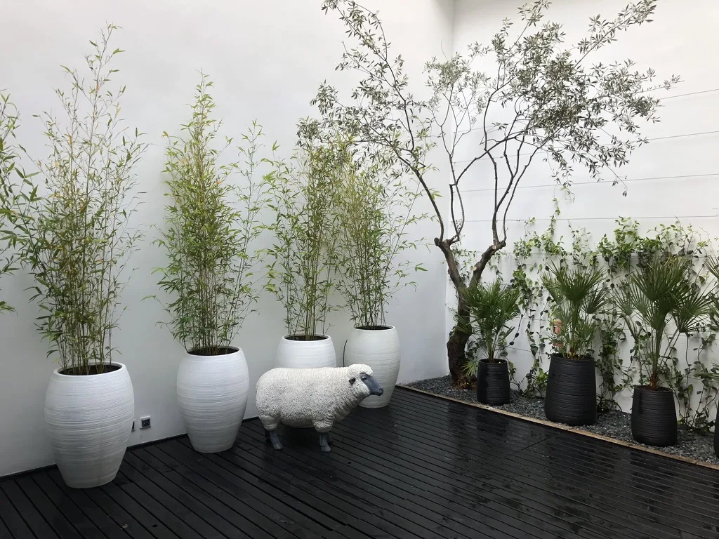 Conception et réalisation de jardin par G Mon Jardinier