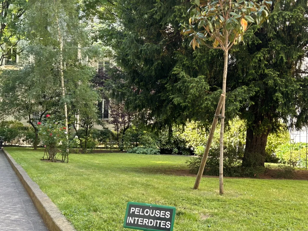 Jardin entretenu, taille et tonte