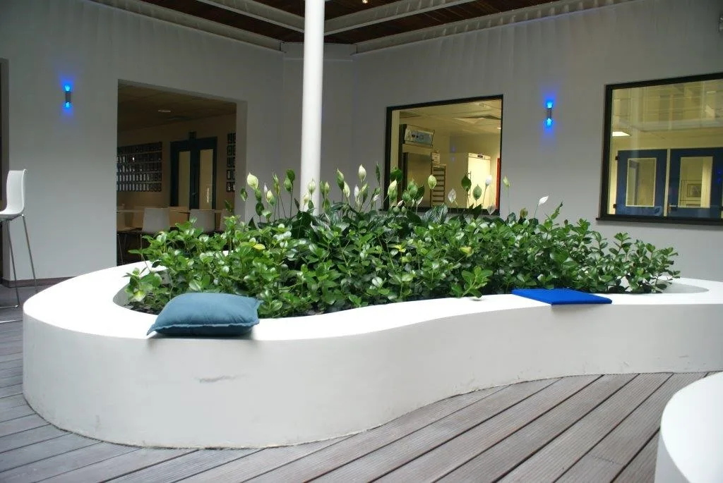 Végétalisation hall accueil, bacs et jardinières sur-mesure
