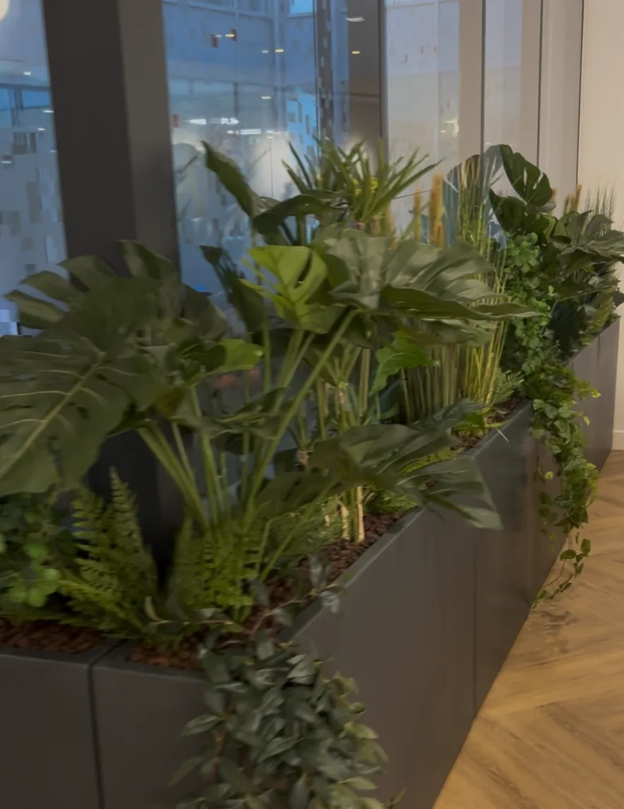Bureau végétalisé avec plantes vertes, espace de travail